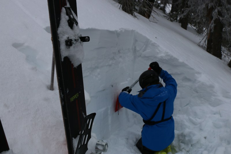 Taking a look at the snowpack we were dealing with. (Cam Stuchly Photo)